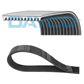 Courroie trapézoïdale à nervures DAYCO