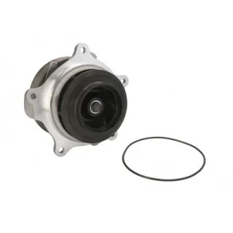 Pompe à eau THERMOTEC WP-DF123