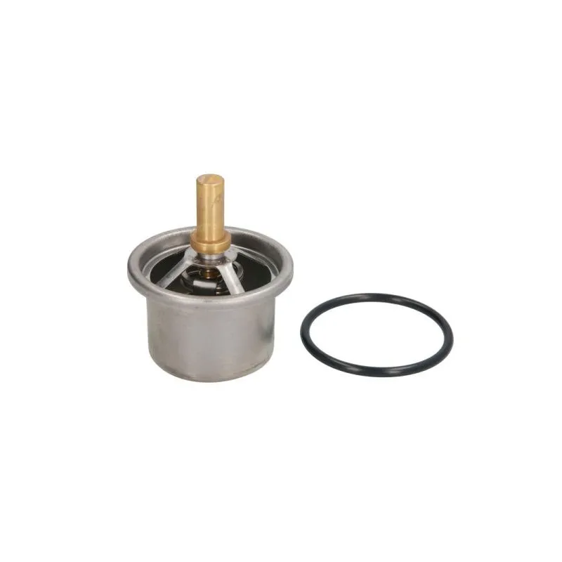 Thermostat d'eau THERMOTEC D2DA007TT