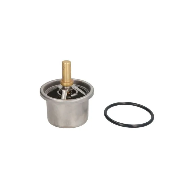 Thermostat d'eau THERMOTEC D2DA006TT