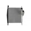 Intercooler, échangeur THERMOTEC DAME005TT - Visuel 1