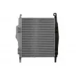 Intercooler, échangeur THERMOTEC DAME005TT - Visuel 2