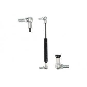 Vérin MAGNUM TECHNOLOGY MGS063MT