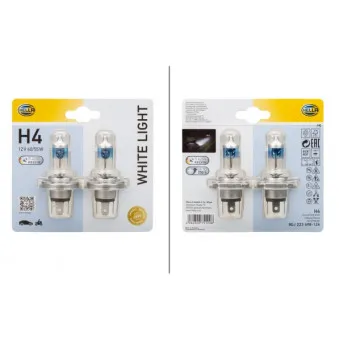 Ampoule, projecteur longue portée HELLA 8GJ 223 498-124