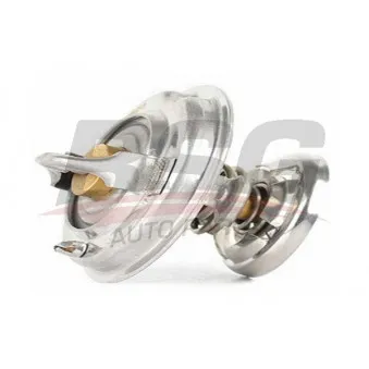 Thermostat, liquide de refroidissement BSG