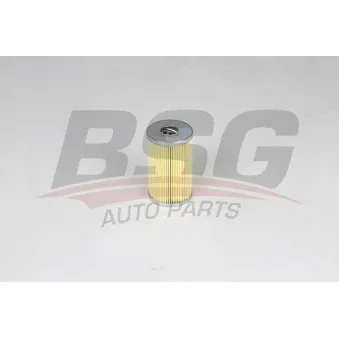 Filtre à huile BSG