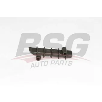 Coulisse, chaîne de distribution BSG