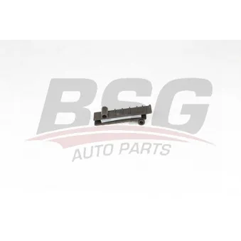 Coulisse, chaîne de distribution BSG