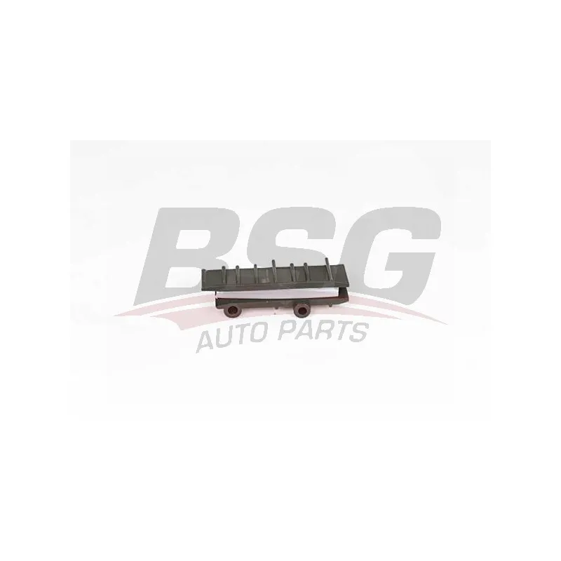 Coulisse, chaîne de distribution BSG BSG 60-109-068