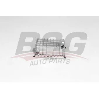 Radiateur d'huile BSG