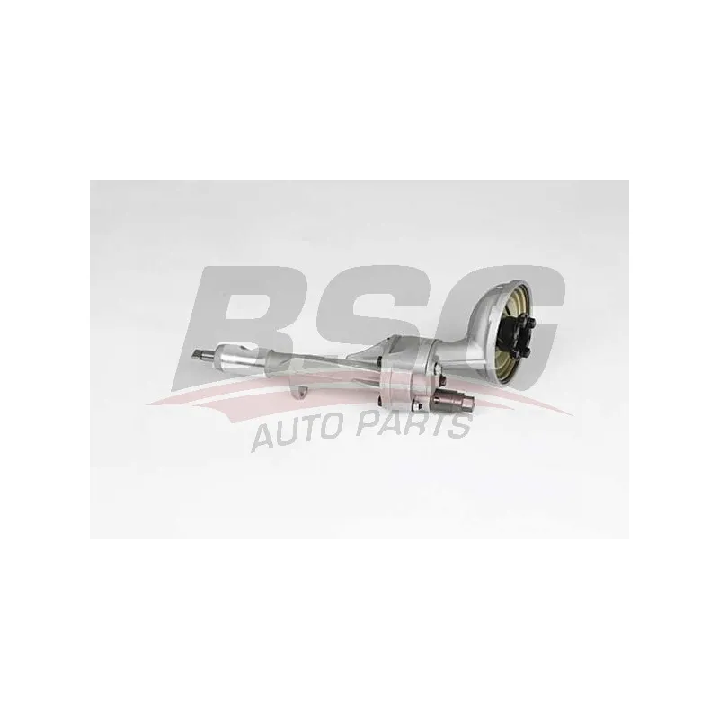 Pompe à huile BSG BSG 60-101-006