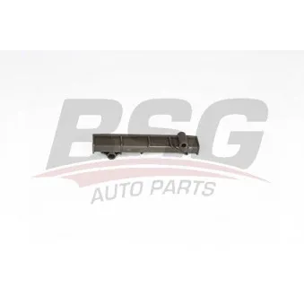 Coulisse, chaîne de distribution BSG