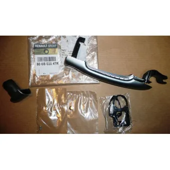 Poignée de porte OE 806B03847R