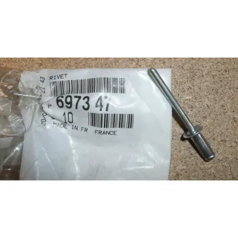 Rivet OE 697347