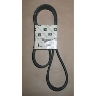 Courroie trapézoïdale à nervures OE 5750WZ