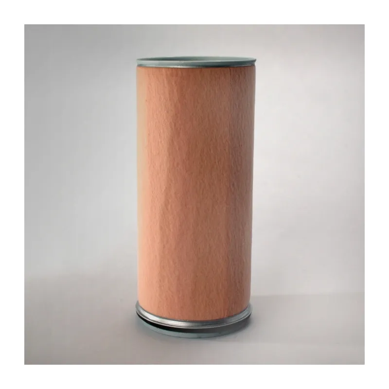 Filtre à air secondaire DONALDSON P787247