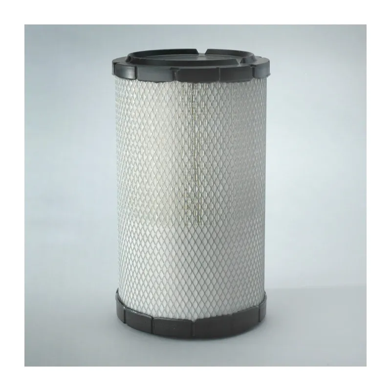 Filtre à air DONALDSON P784609