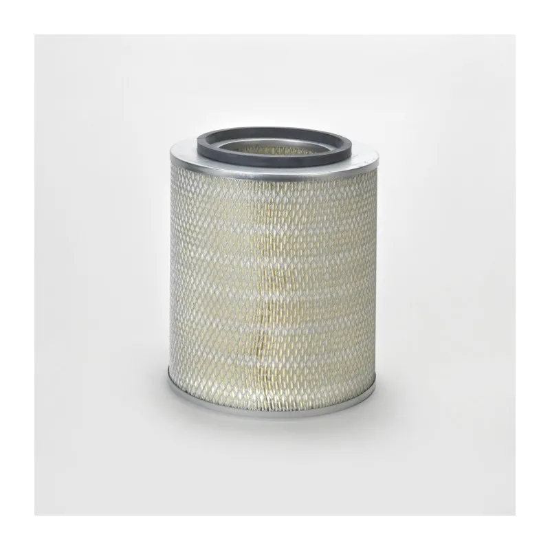 Filtre à air DONALDSON P776260