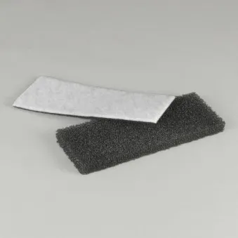 Filtre à air DONALDSON