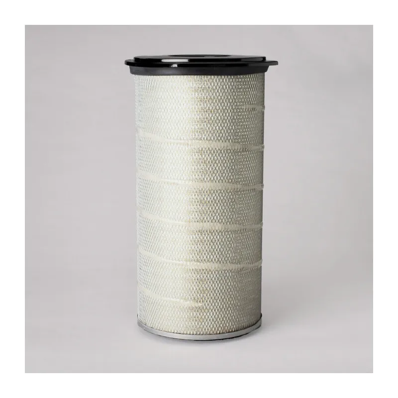 Filtre à air DONALDSON P780815