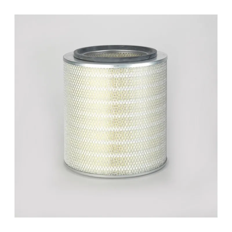 Filtre à air DONALDSON P776252