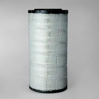 Filtre à air DONALDSON