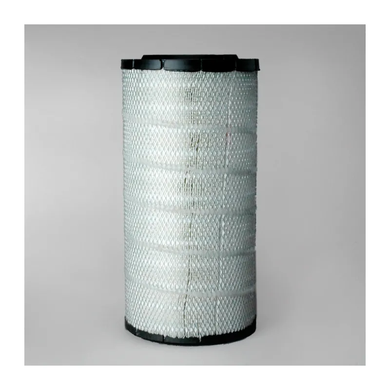 Filtre à air DONALDSON P782998