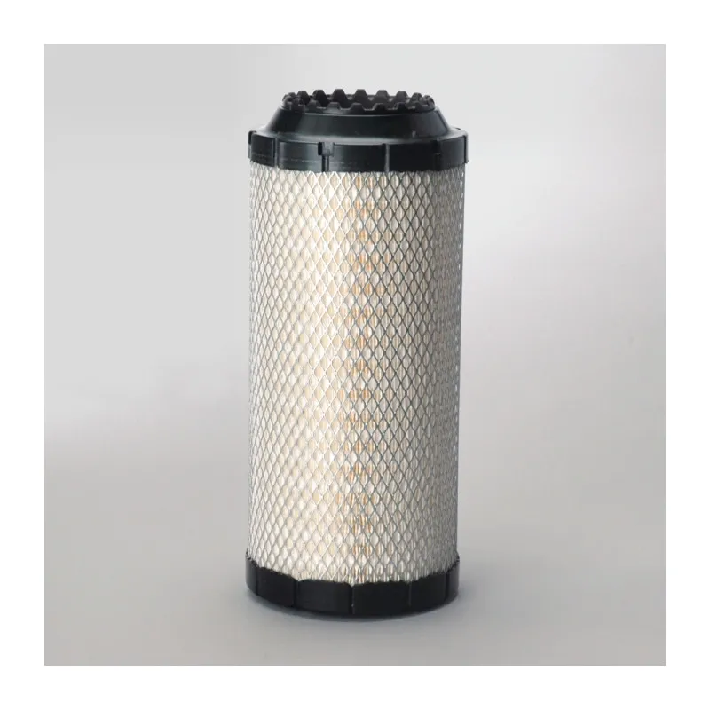 Filtre à air DONALDSON P778972