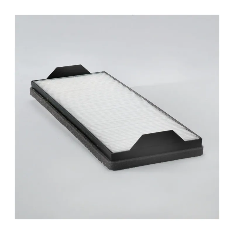 Filtre à air DONALDSON P789247