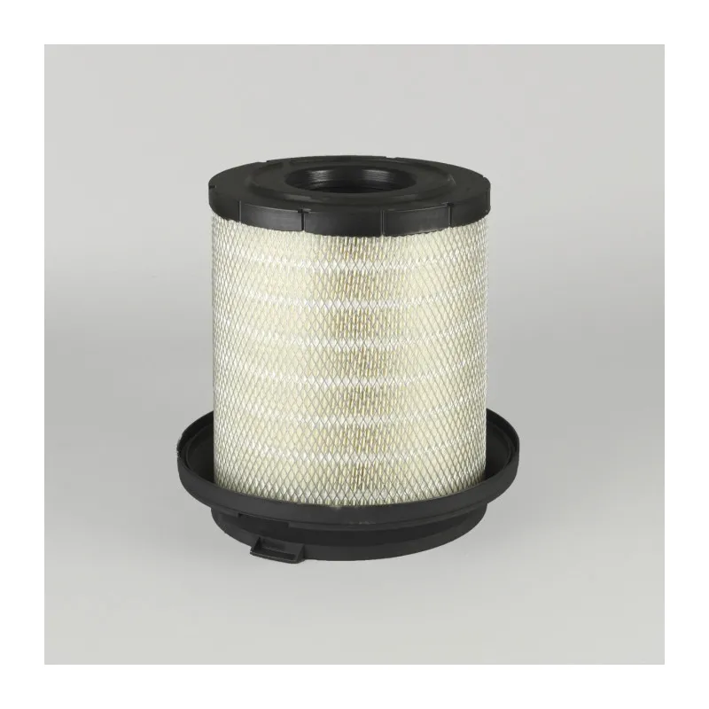 Filtre à air DONALDSON P781465