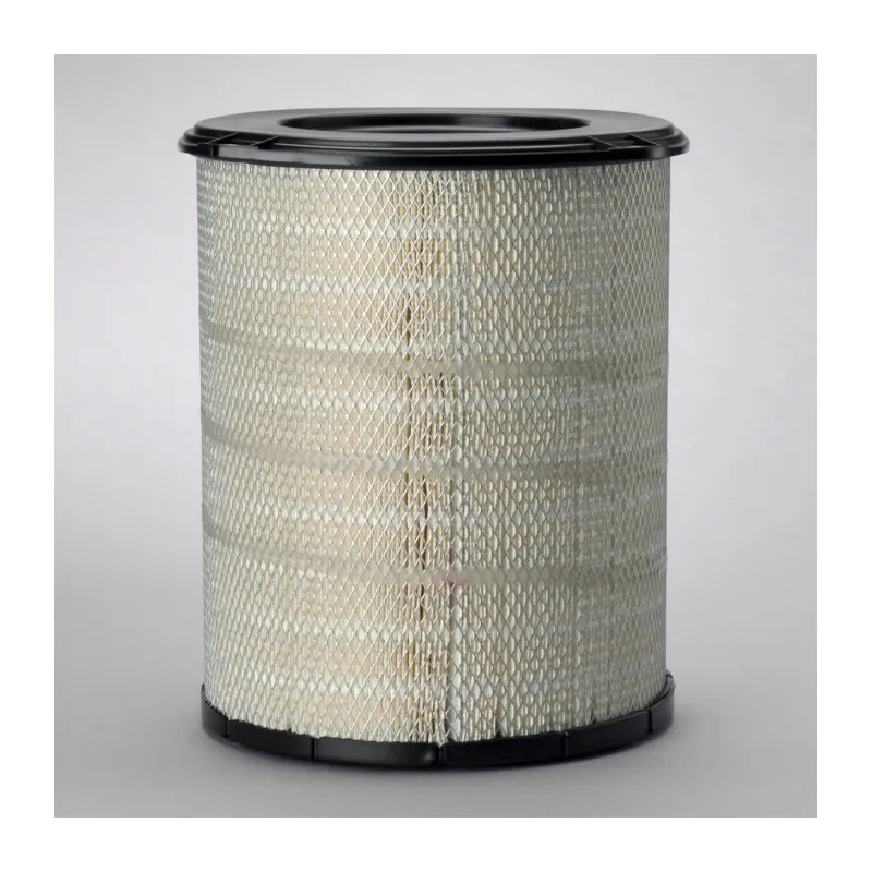 Filtre à air DONALDSON P778779