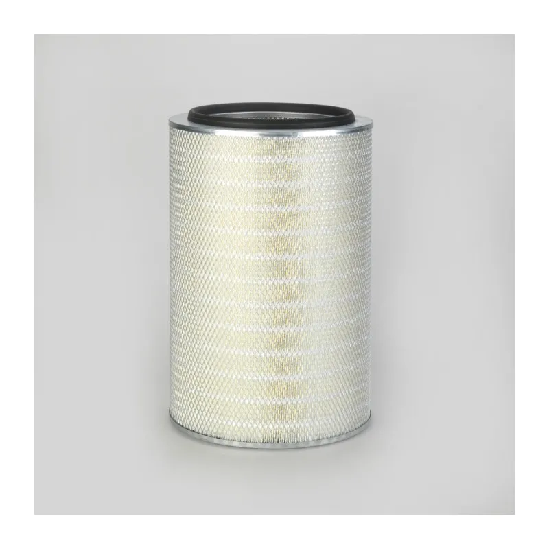 Filtre à air DONALDSON P778081