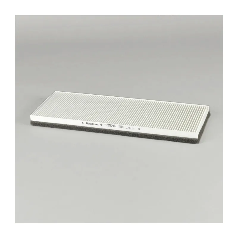 Filtre à air DONALDSON P785046