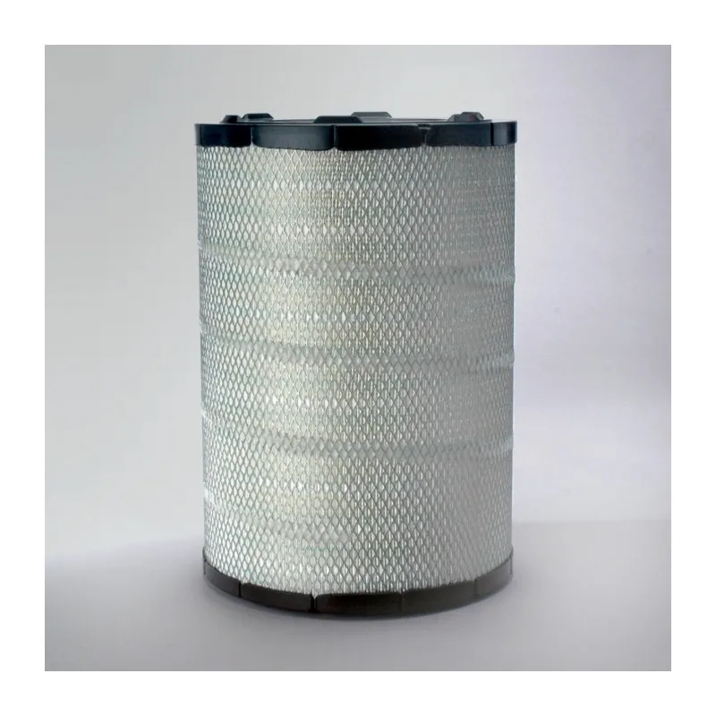 Filtre à air DONALDSON P778335