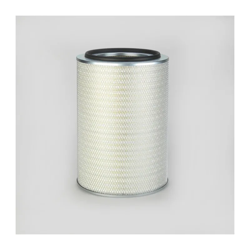 Filtre à air DONALDSON P778485