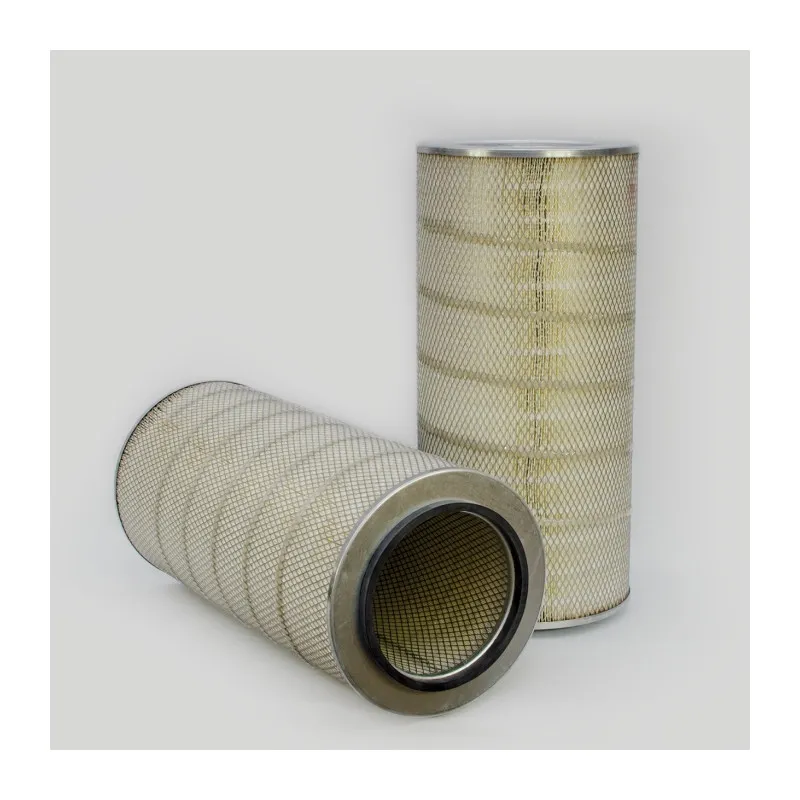 Filtre à air DONALDSON P780519