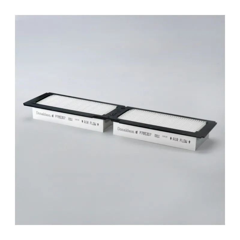 Filtre à air DONALDSON P785307