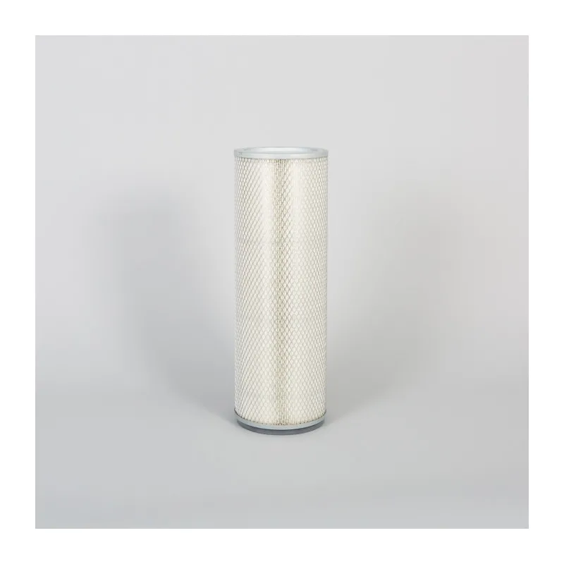 Filtre à air secondaire DONALDSON P900685