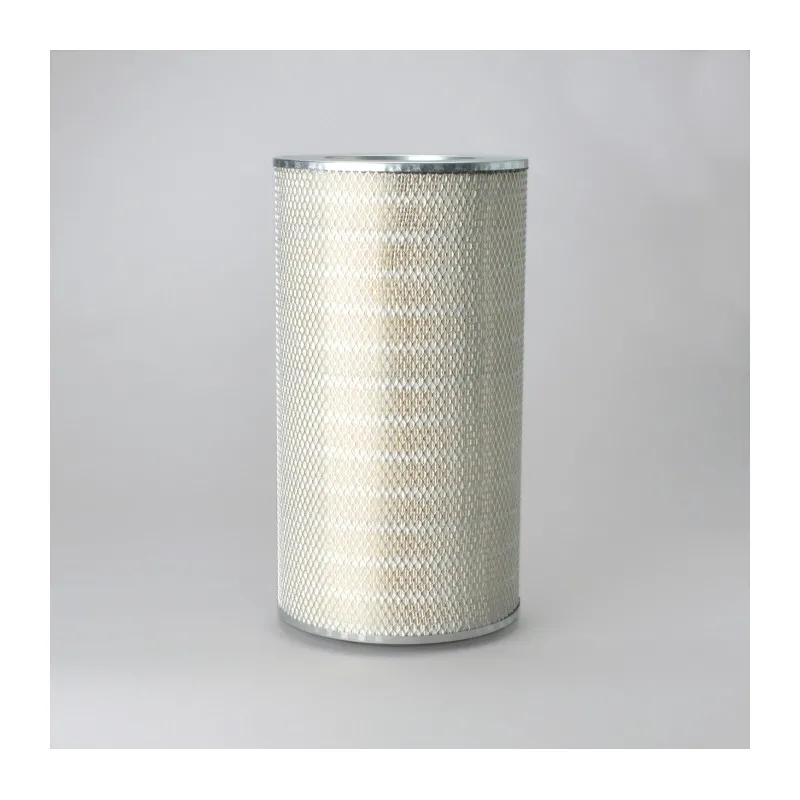 Filtre à air DONALDSON P182082