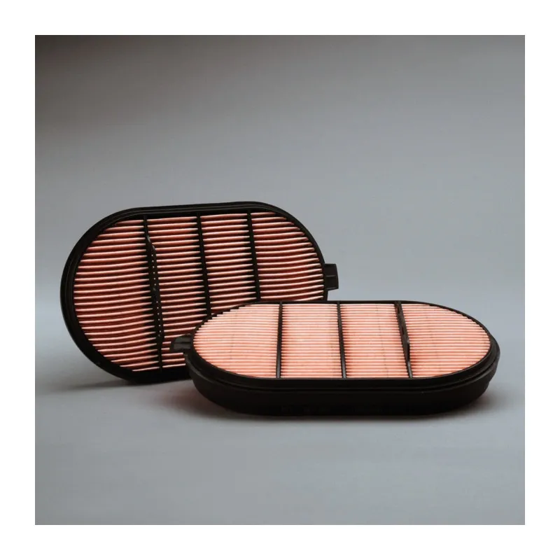 Filtre à air secondaire DONALDSON P601560