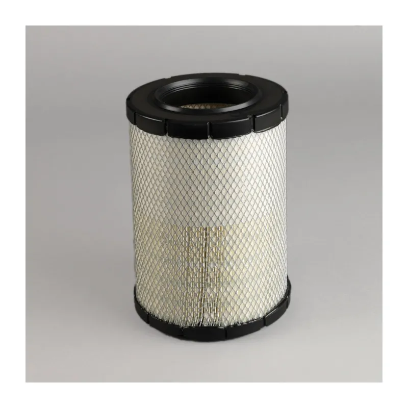 Filtre à air DONALDSON P783871