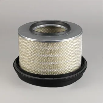 Filtre à air DONALDSON