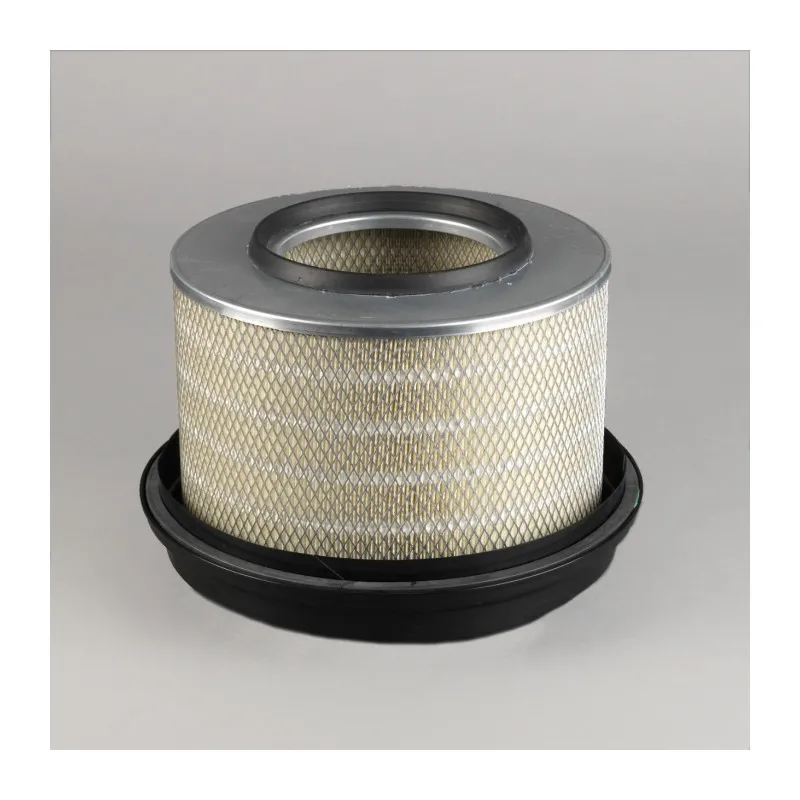 Filtre à air DONALDSON P771583