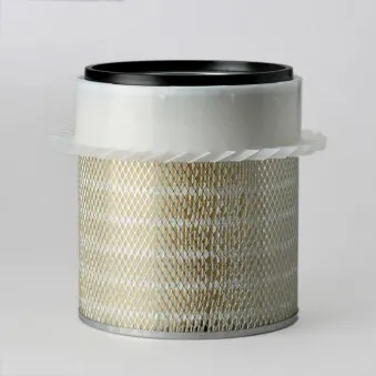 Filtre à air DONALDSON