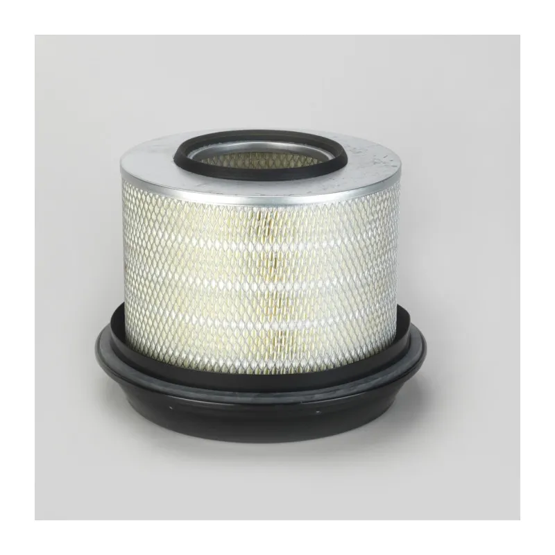 Filtre à air DONALDSON P771510