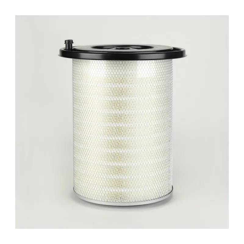 Filtre à air DONALDSON P771573