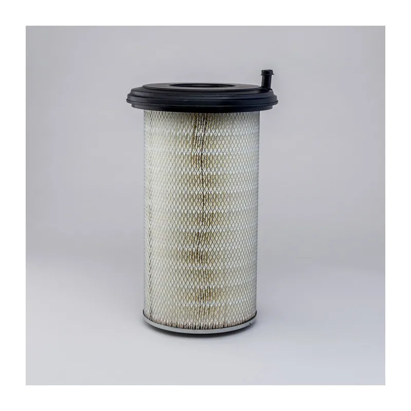 Filtre à air DONALDSON P775896