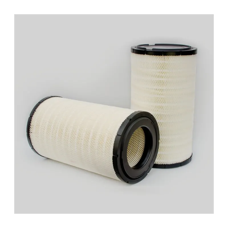 Filtre à air DONALDSON P780621