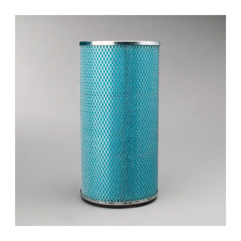 Filtre à air secondaire DONALDSON P114931