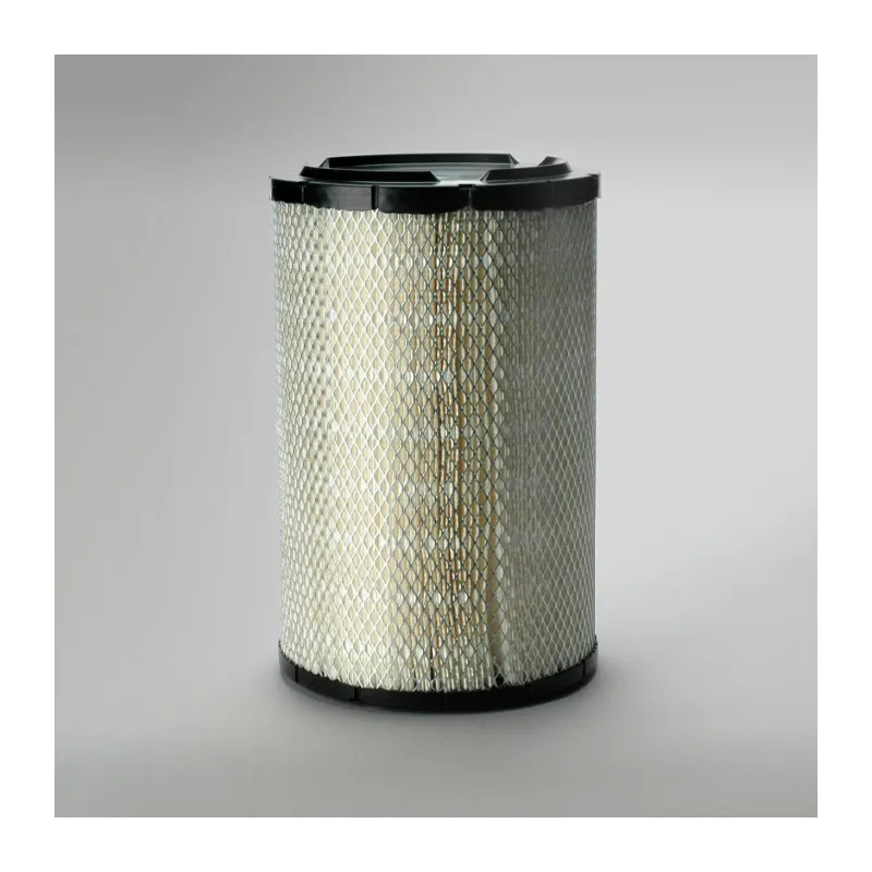 Filtre à air DONALDSON P821938